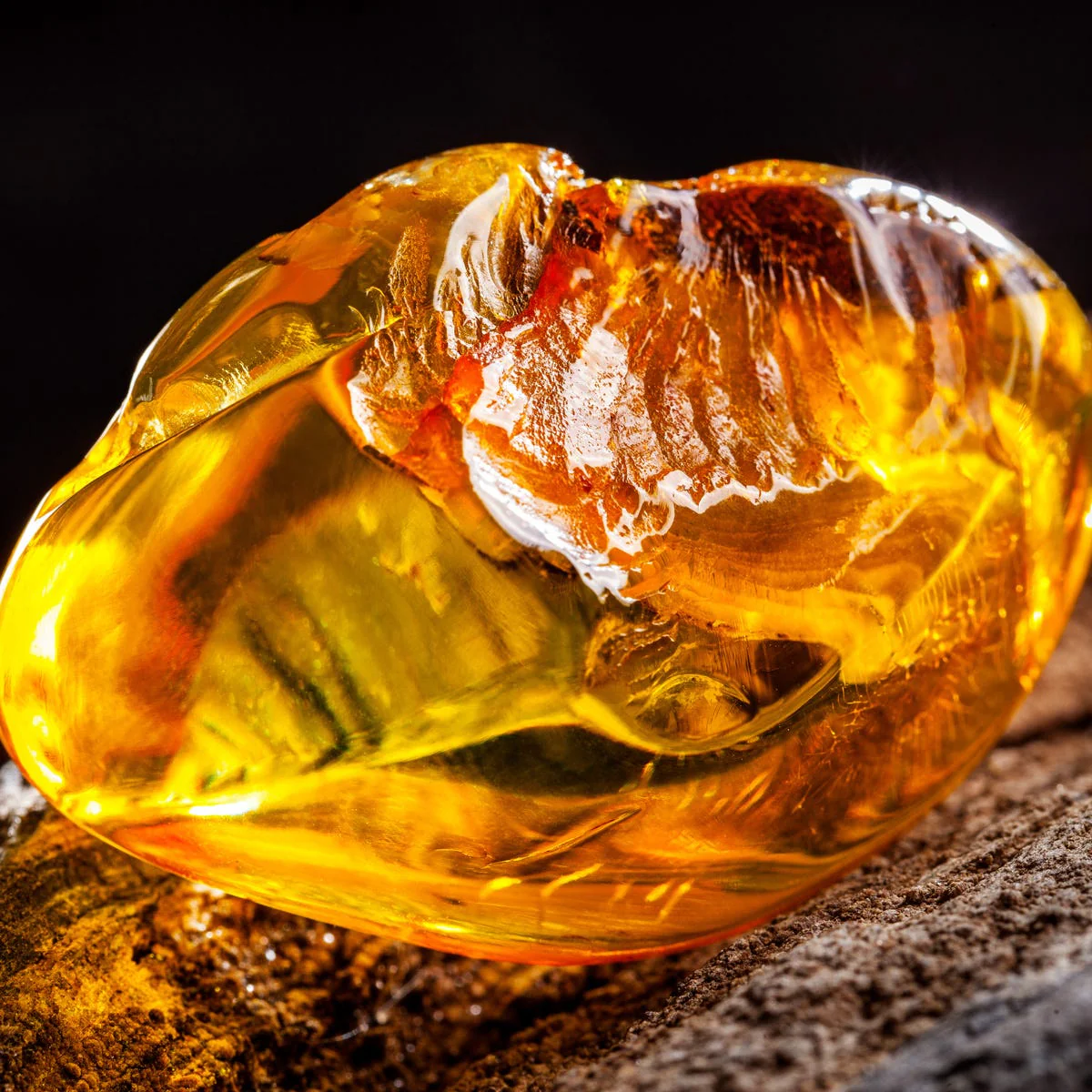 Ambered Sandalwood Fragrance Oil - Image 4