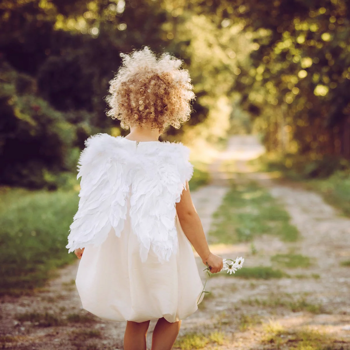 Angel Wings Fragrance Oil
