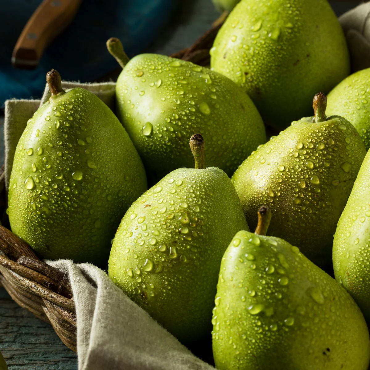 Anjou Pear Fragrance Oil - Image 2