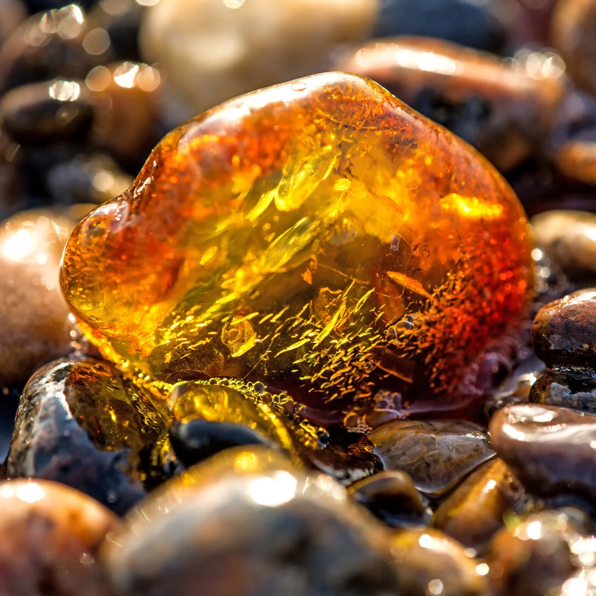 Baltic Amber Fragrance Oil - Image 2
