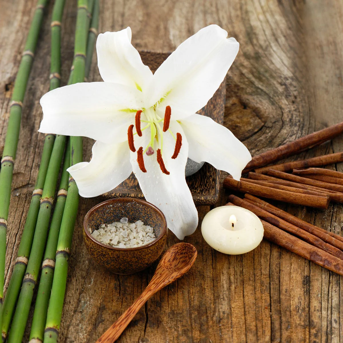 Bamboo and Musk Fragrance Oil - Image 4