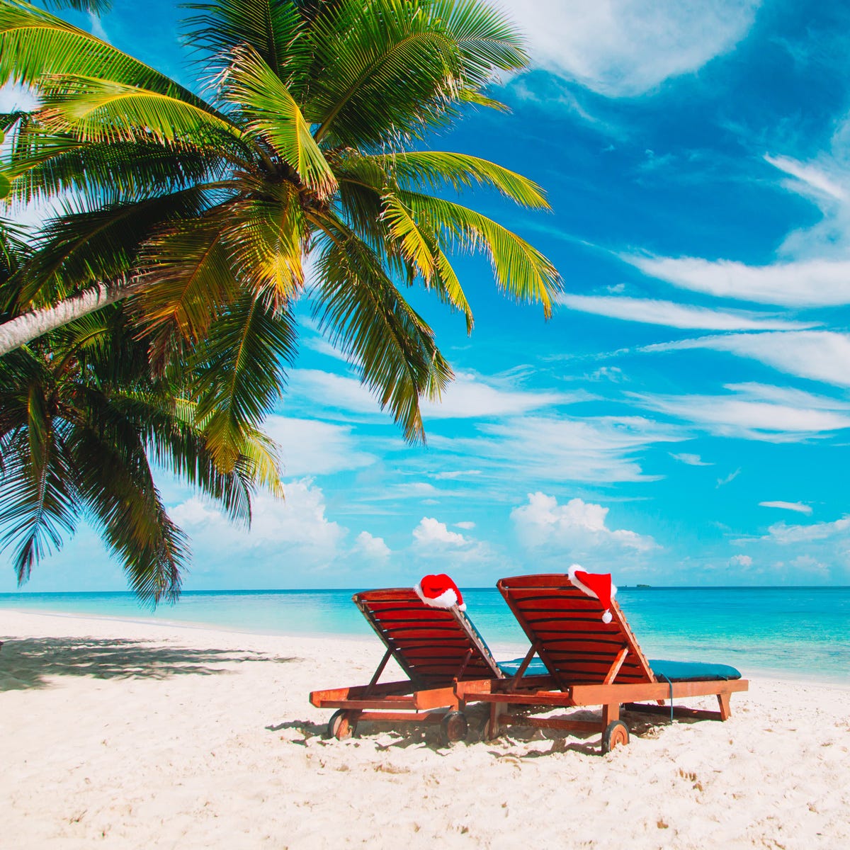 Beach Side Christmas Fragrance Oil