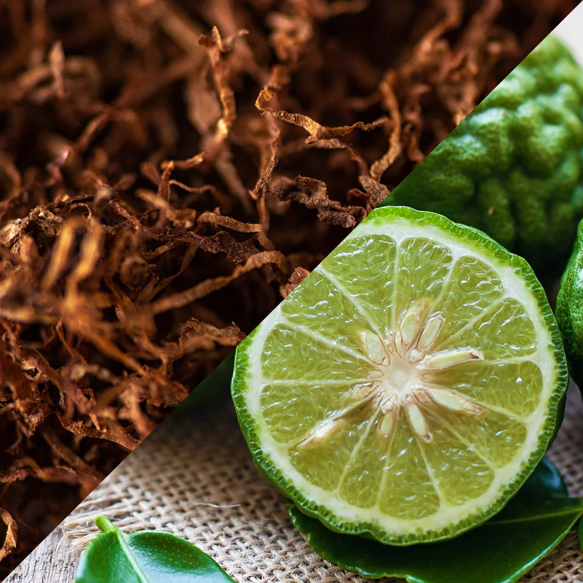 Bergamot Tobacco Fragrance Oil - Image 5