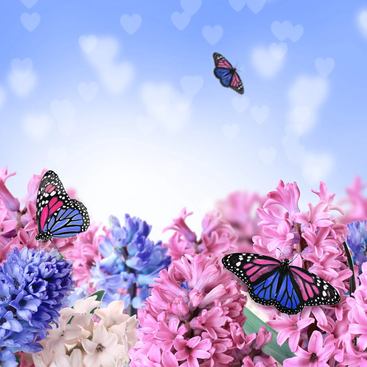 Butterfly Kisses Fragrance Oil - Image 3