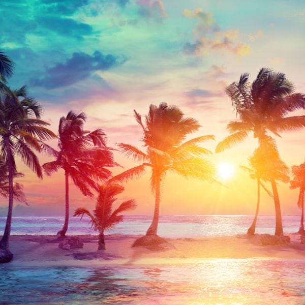 Caribbean Fragrance Oil - Image 3