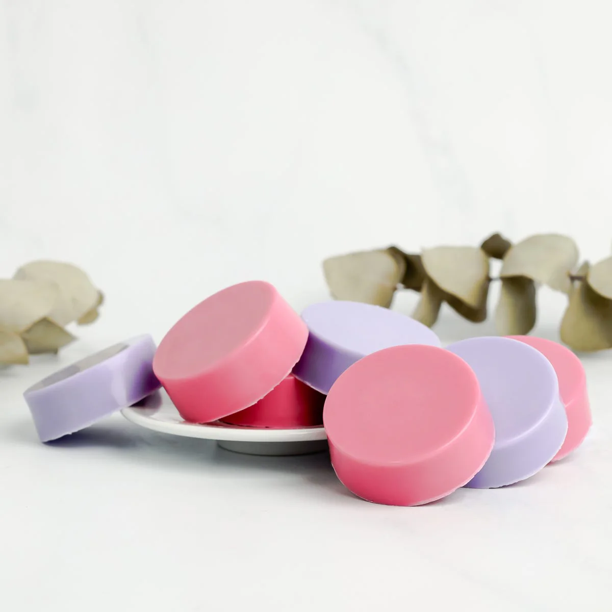 Clam Shell Mould 2 x 50g round cavity - Image 4