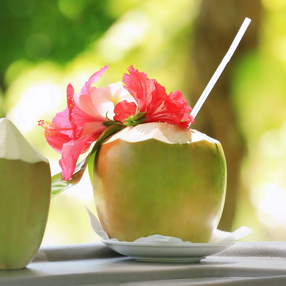 Coconut Palm & Hibiscus Fragrance Oil - Image 3