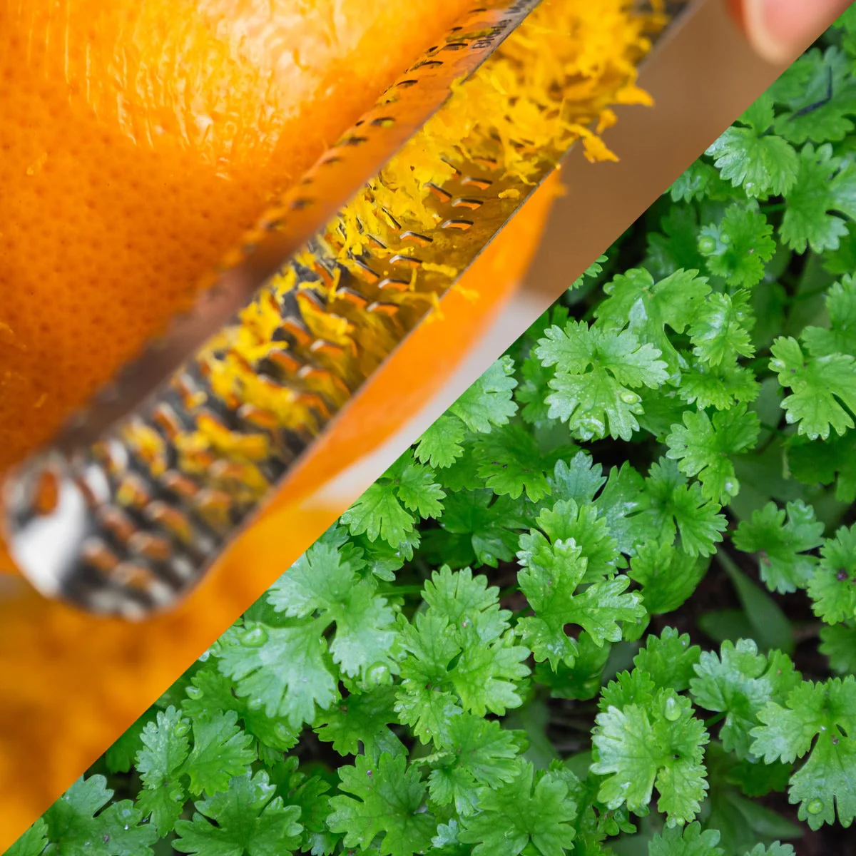 Coriander & Orange Zest Fragrance Oil - Image 2