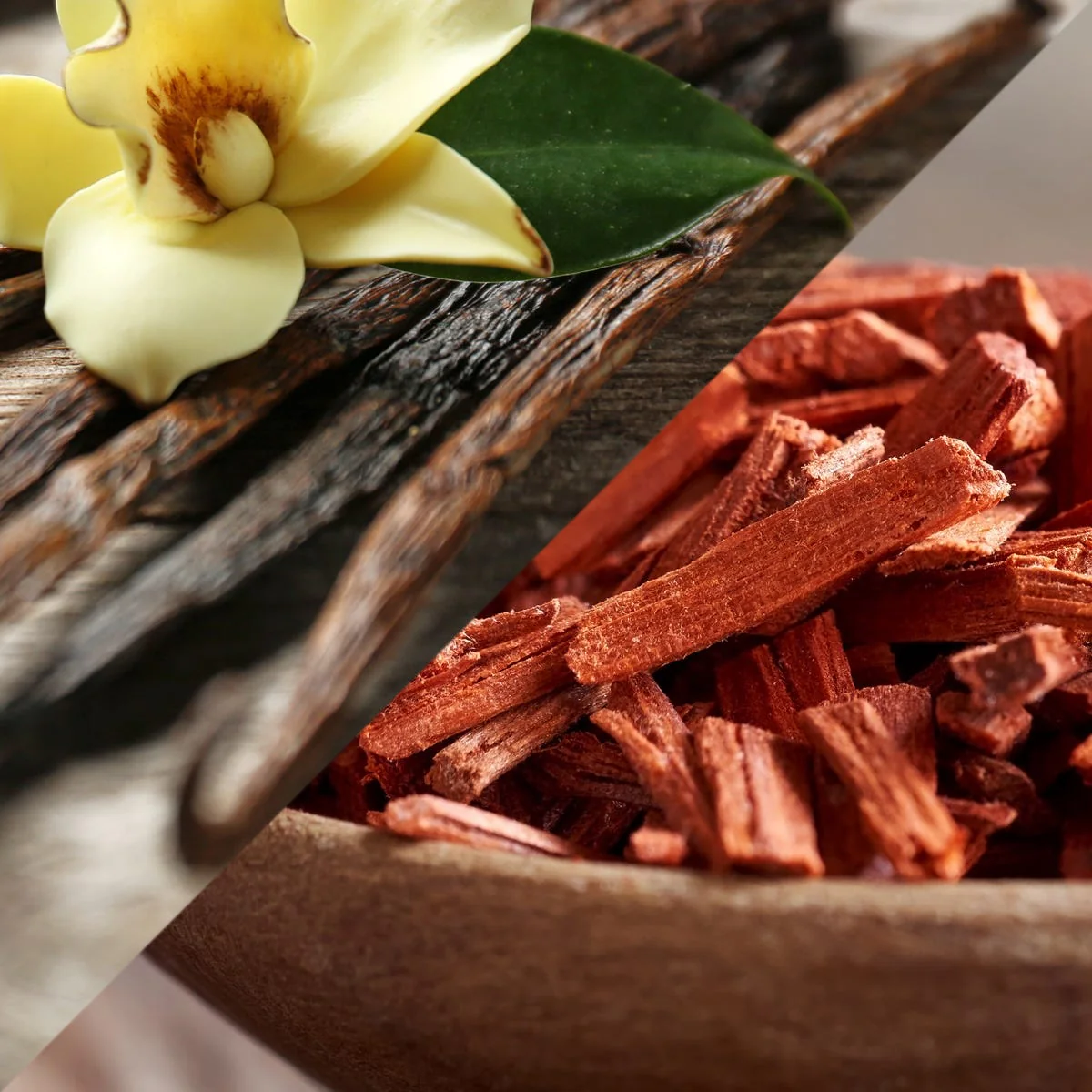 Double Vanilla & Sandalwood Fragrance Oil - Image 2