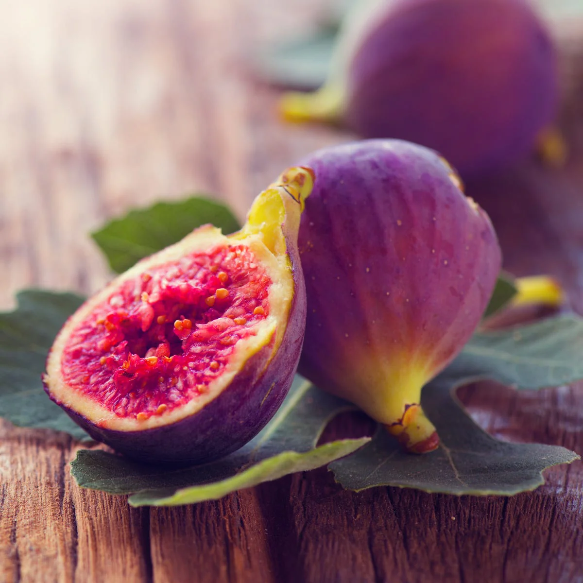 Fig Tree Fragrance Oil - Image 3