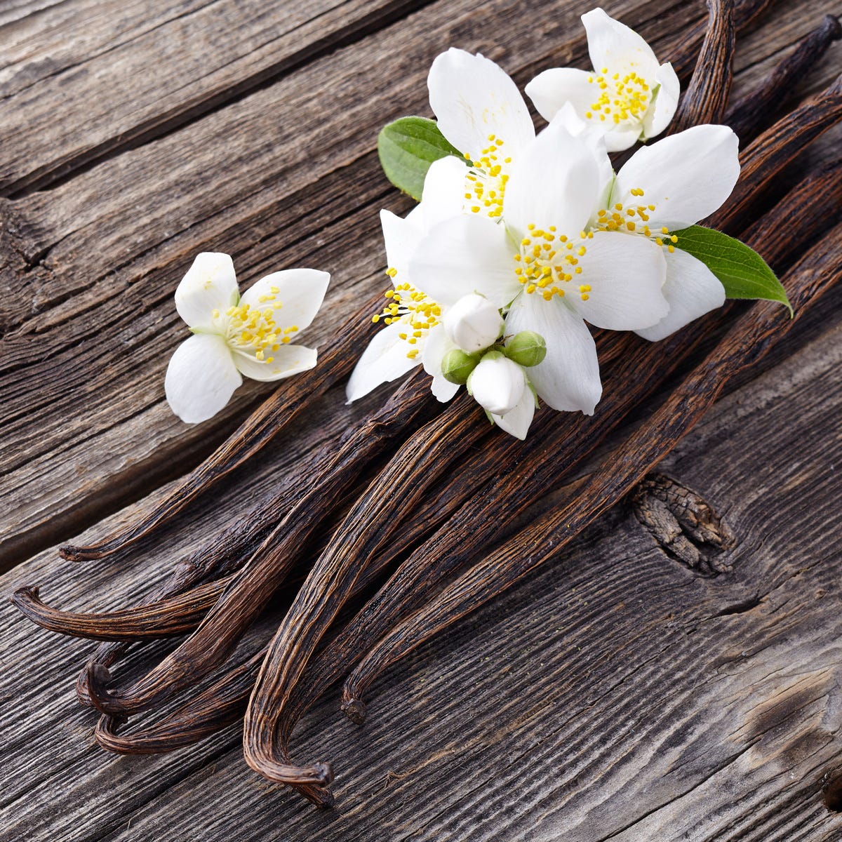 Flower Type Vanilla Cashmere Fragrance Oil - Image 4