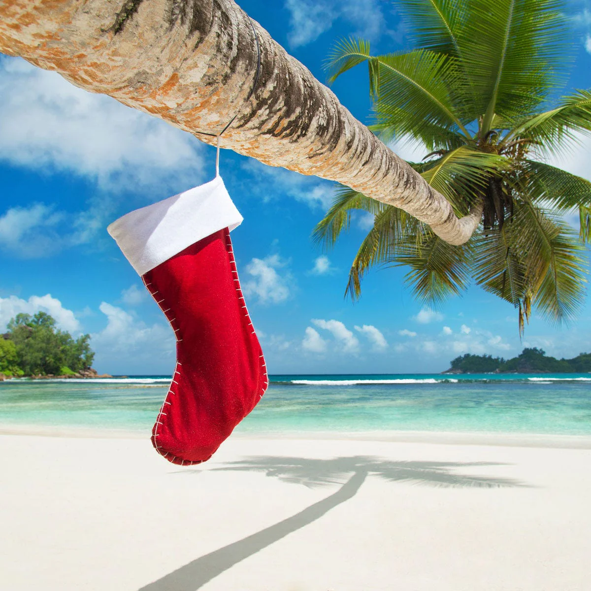 Island Christmas Fragrance Oil - Image 2
