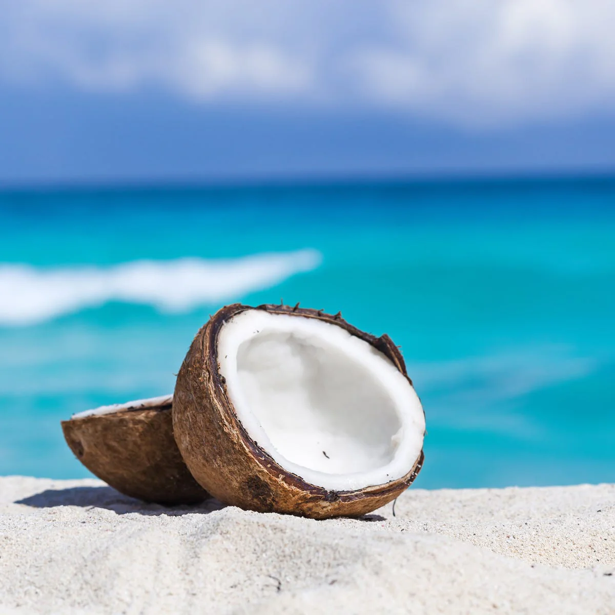 Island Coconut Fragrance Oil - Image 2