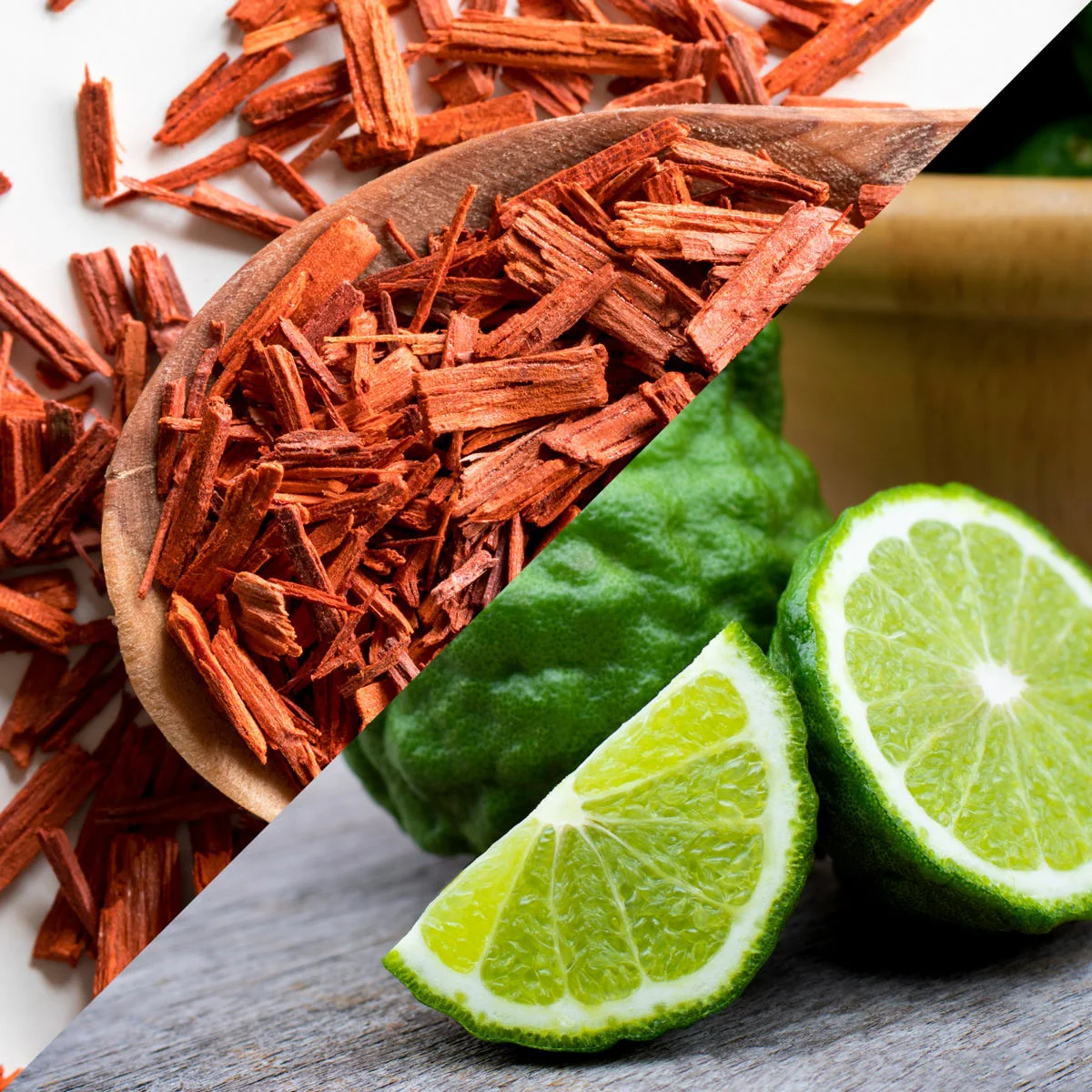 Kaffir Lime & Sandalwood Fragrance Oil - Image 4