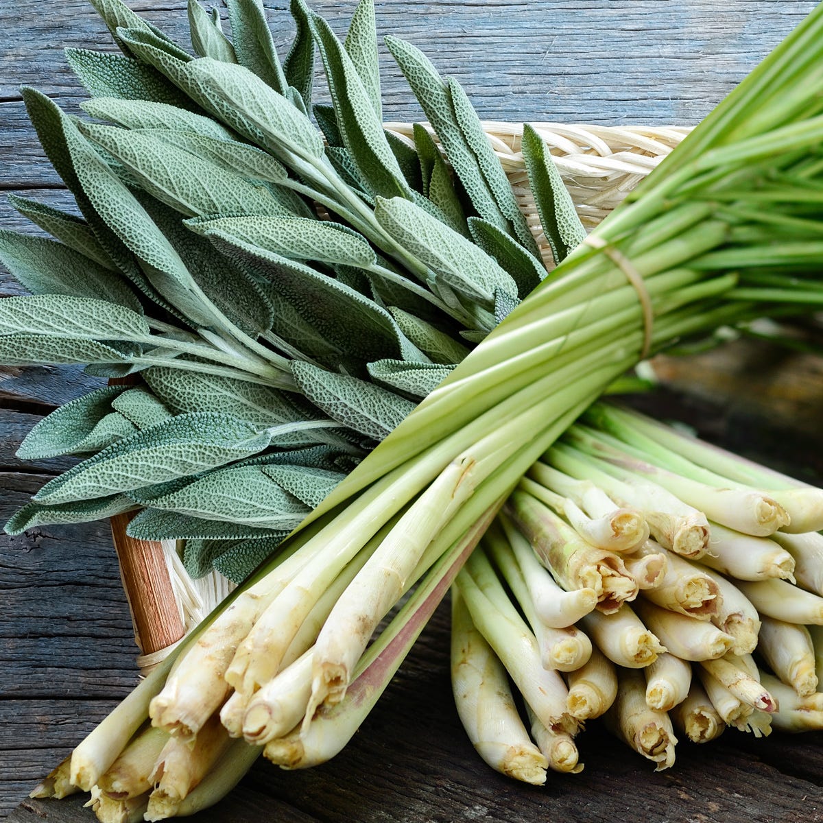 Lemongrass and Sage Fragrance Oil - Image 2