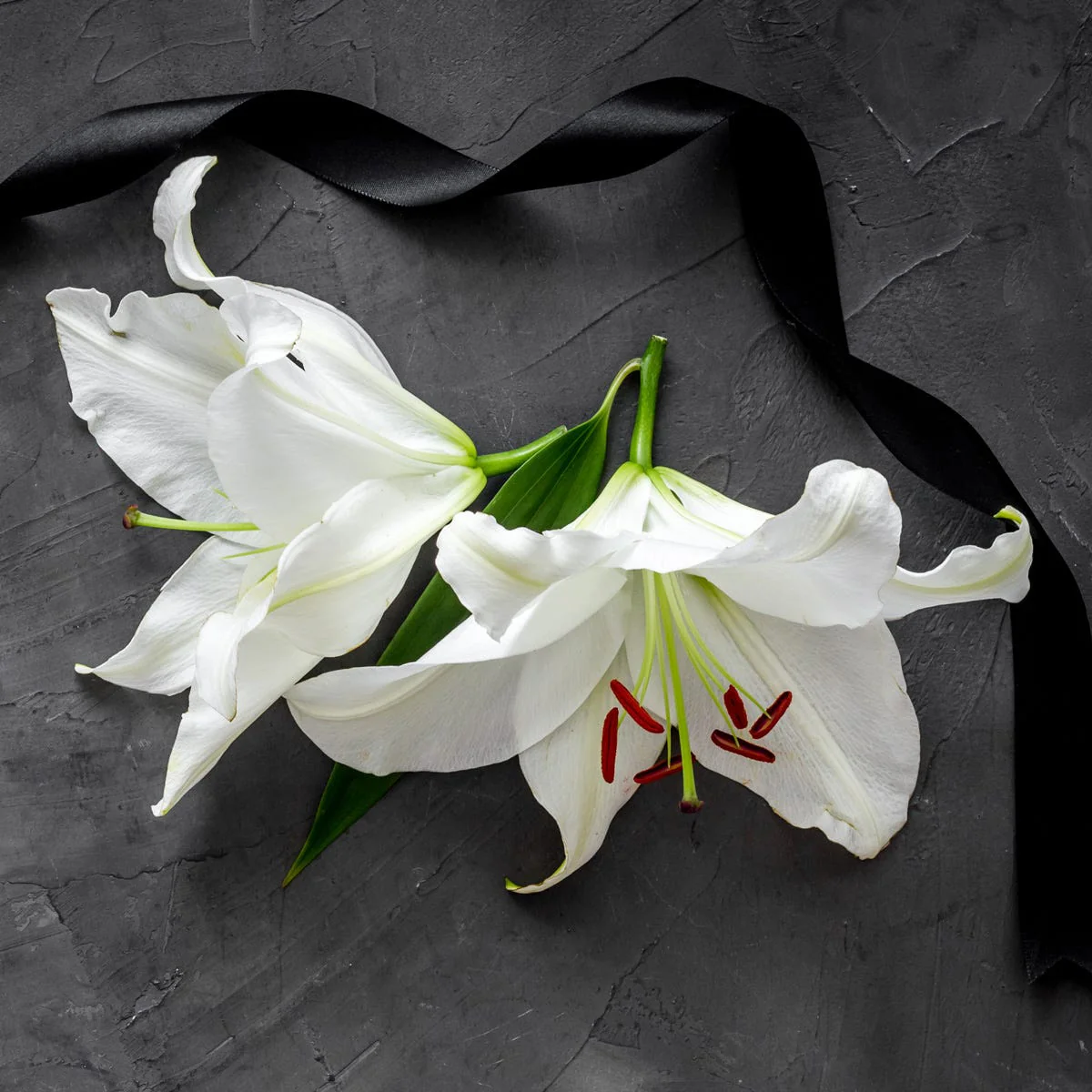 Lilies & Leather Type Fragrance Oil - Image 4