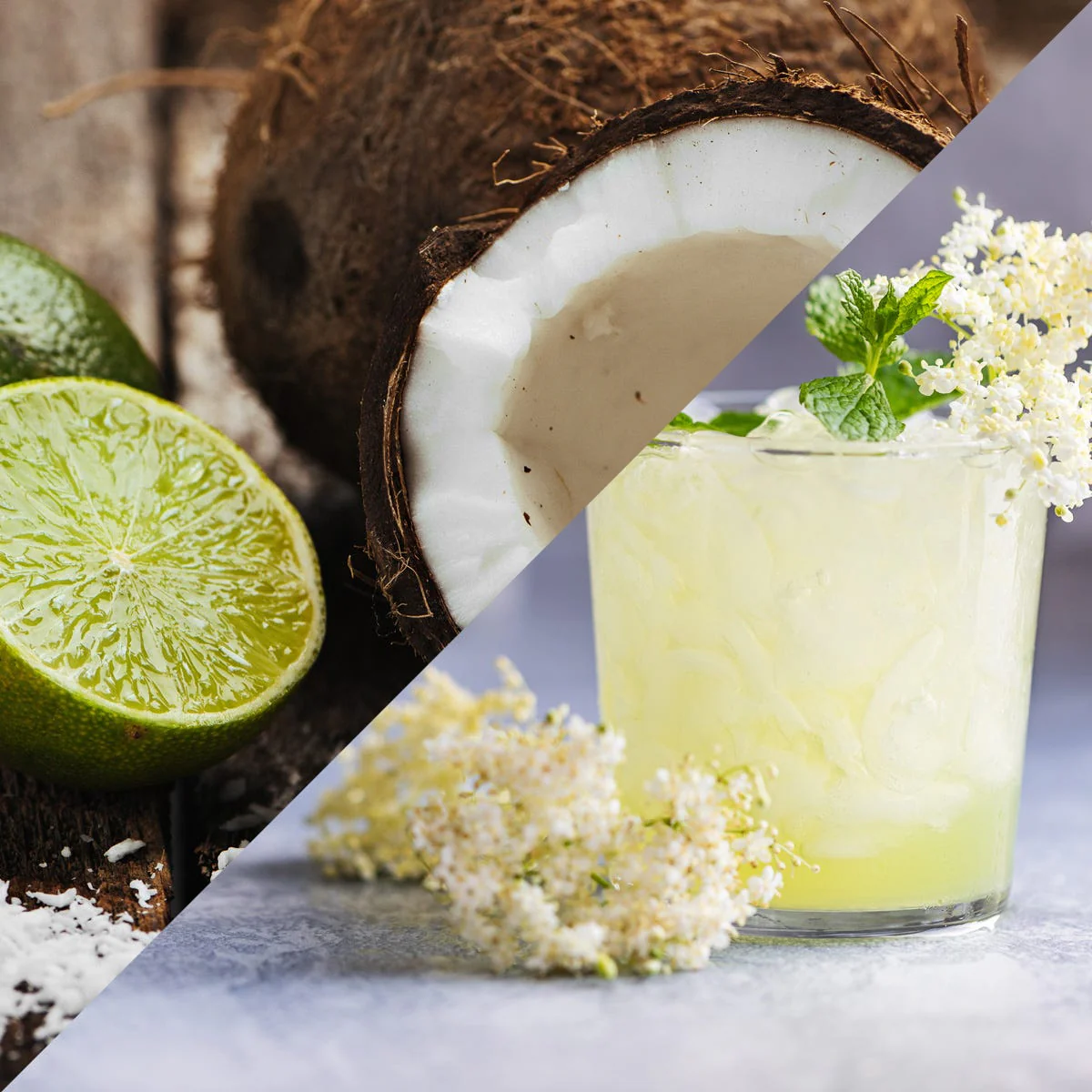 Lime, Coconut & Elderflower Fragrance Oil - Image 4