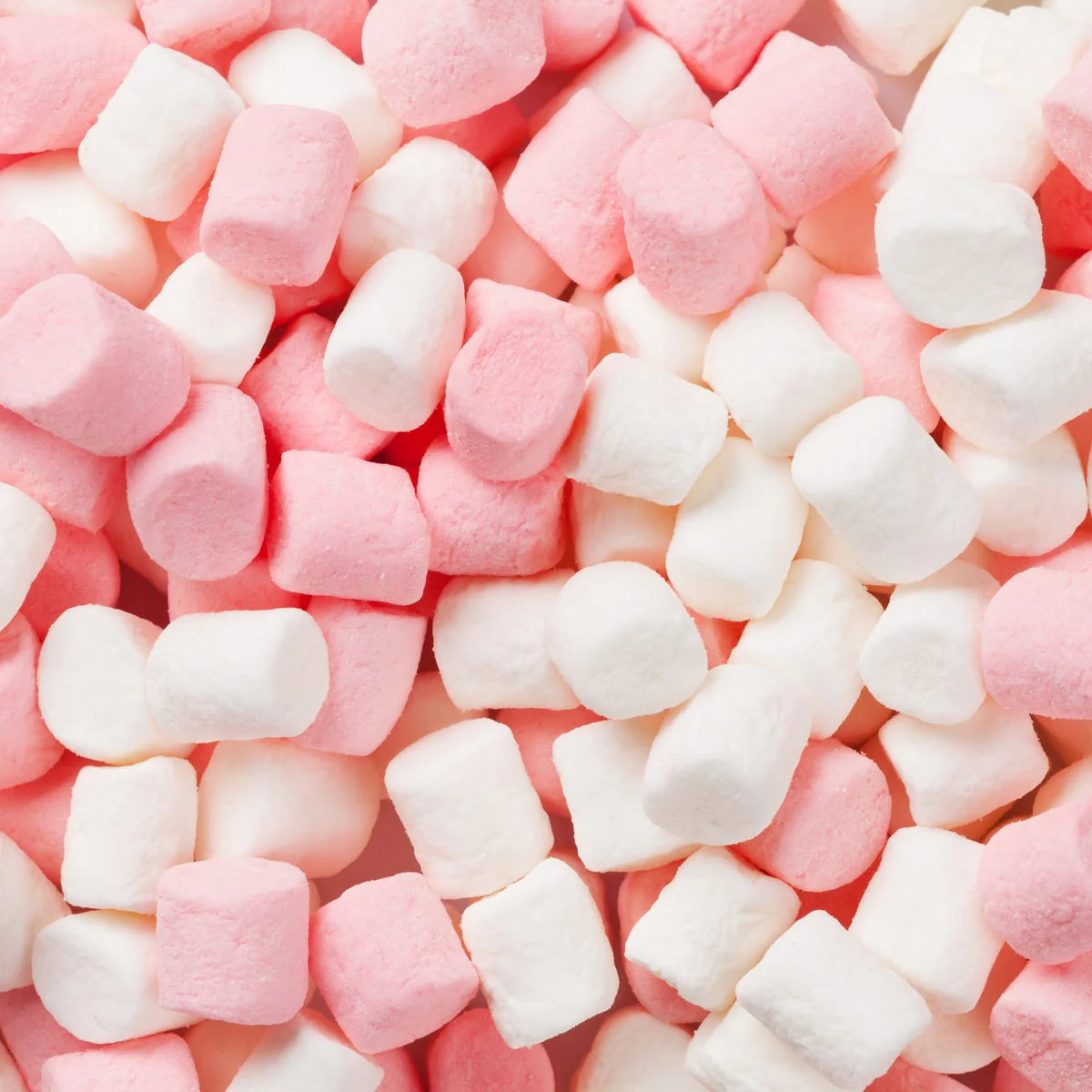 Marshmallow Fragrance Oil - Image 3