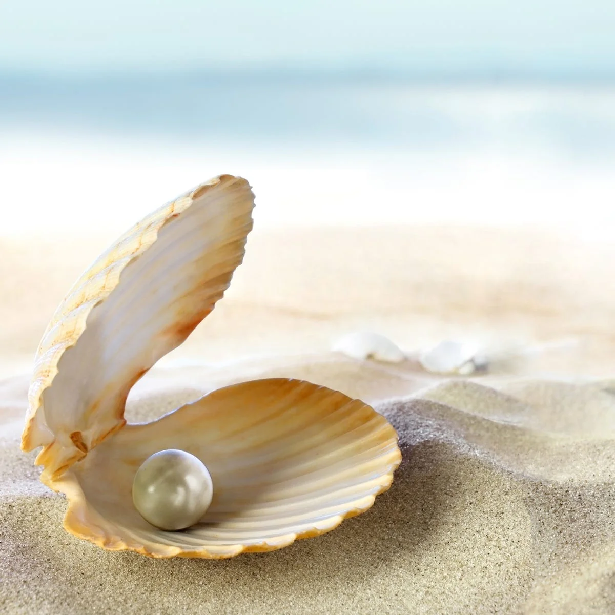 Ocean Pearl Fragrance Oil - Image 5