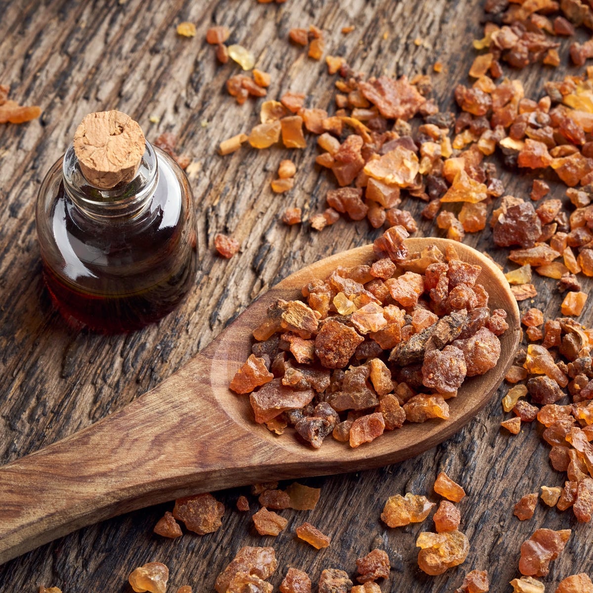 Oriental Myrrh & Musk Fragrance Oil - Image 3