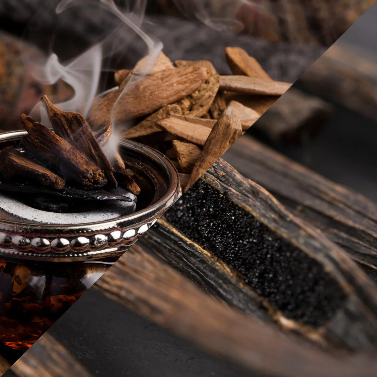Oud Wood & Dark Vanilla Fragrance Oil - Image 4