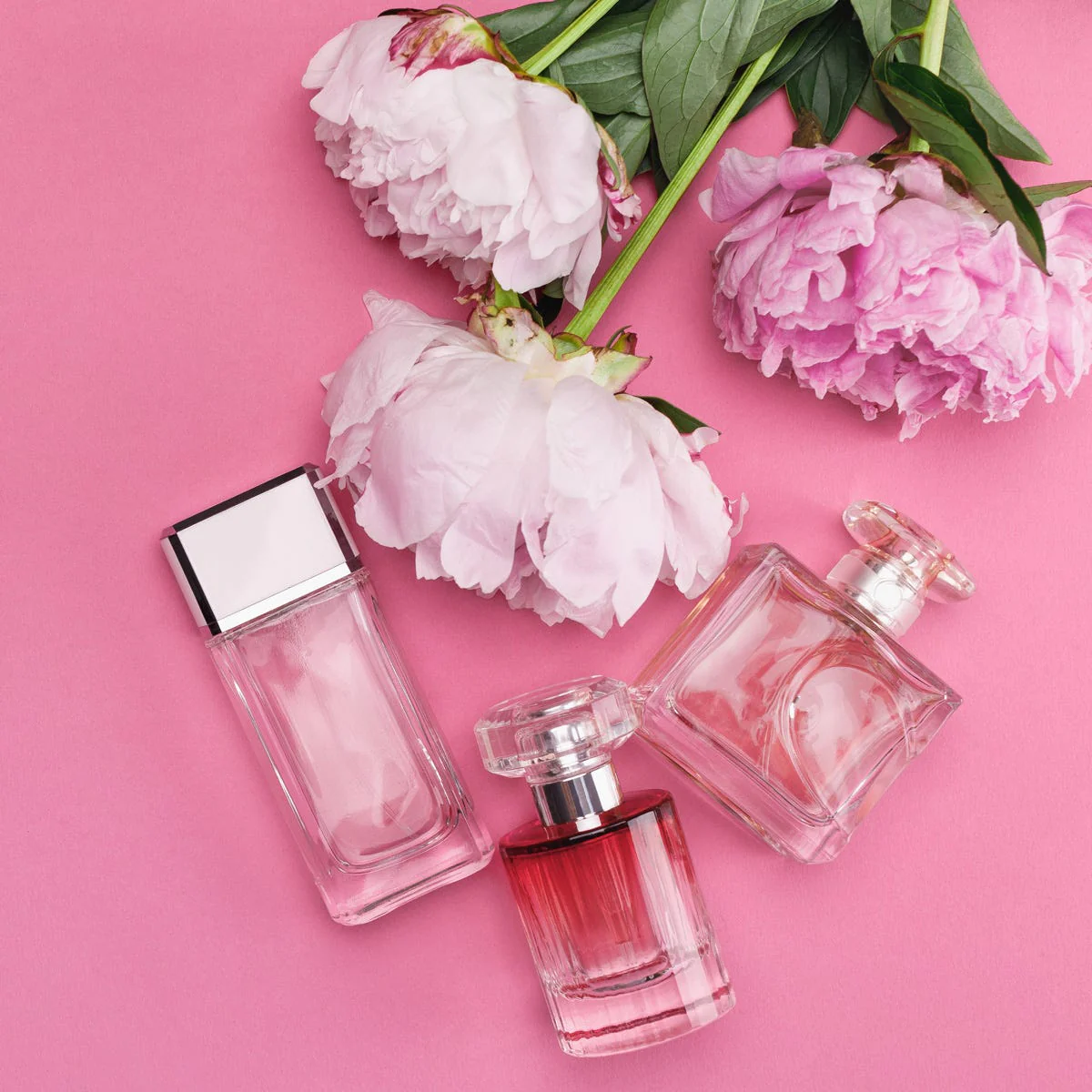 Peony & Blush Suede Fragrance Oil