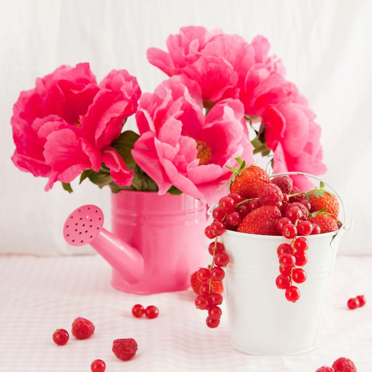 Pink Berry Peony Fragrance Oil