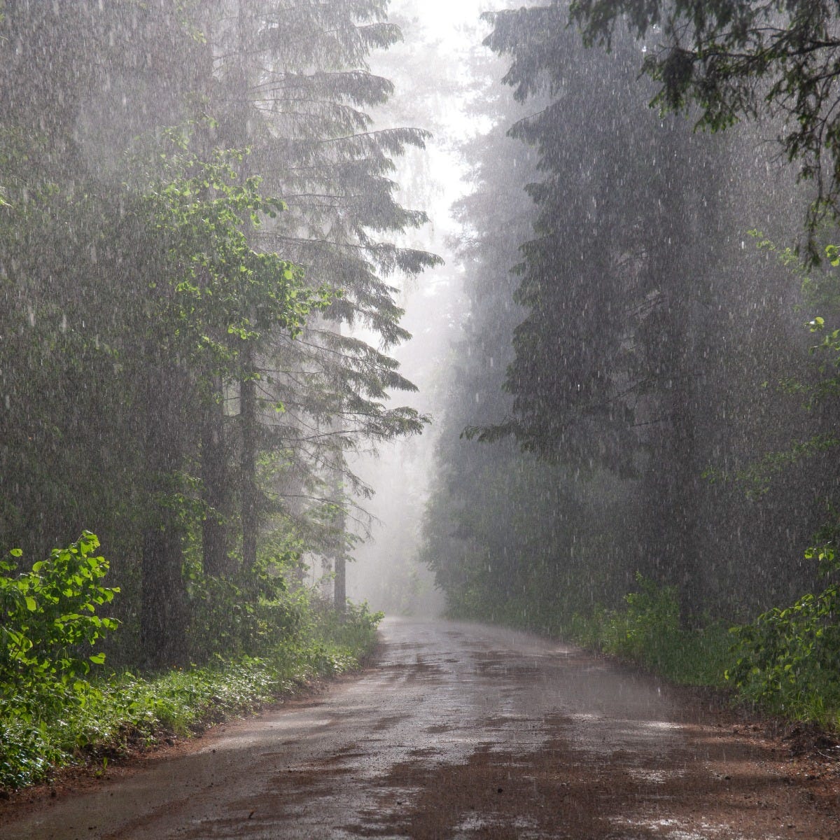 Rainstorm Fragrance Oil - Image 3