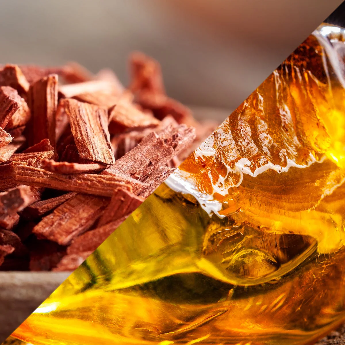 Sandalwood and Amber Fragrance Oil - Image 3