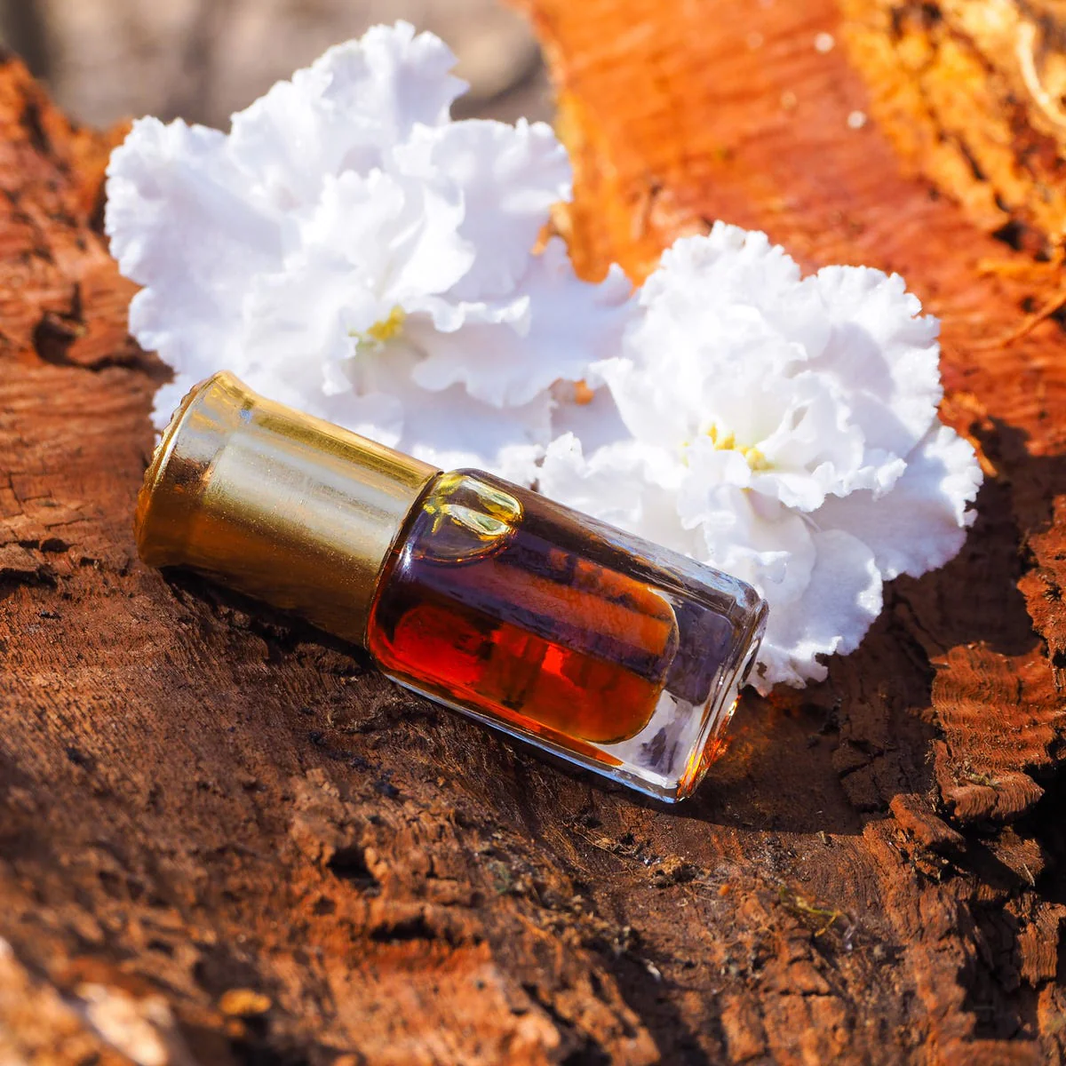 Sandalwood No. 6 Fragrance Oil - Image 2