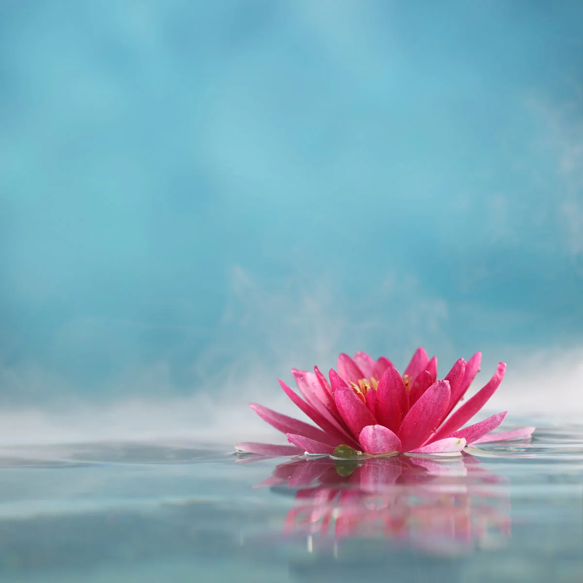 Sea Mist & Waterlily Type Fragrance Oil