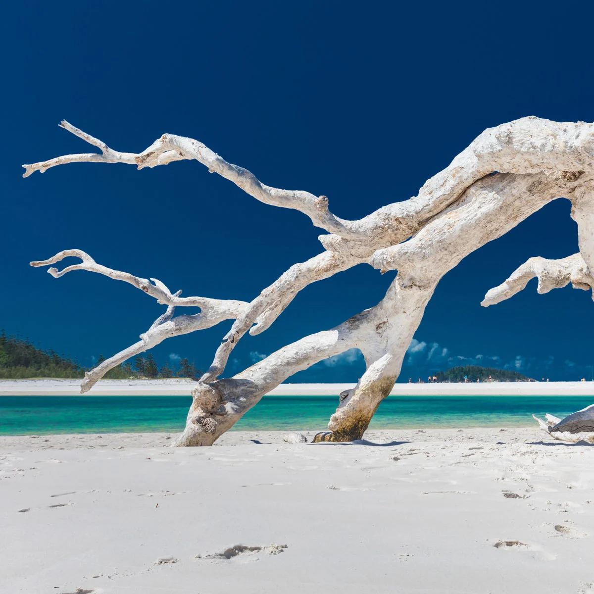 Sea Salt & Driftwood Fragrance Oil - Image 2
