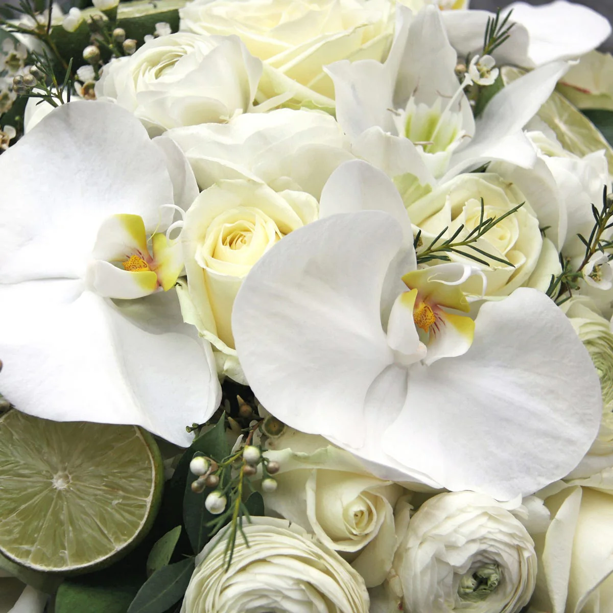 Sheer Lily & White Rose Type Fragrance Oil
