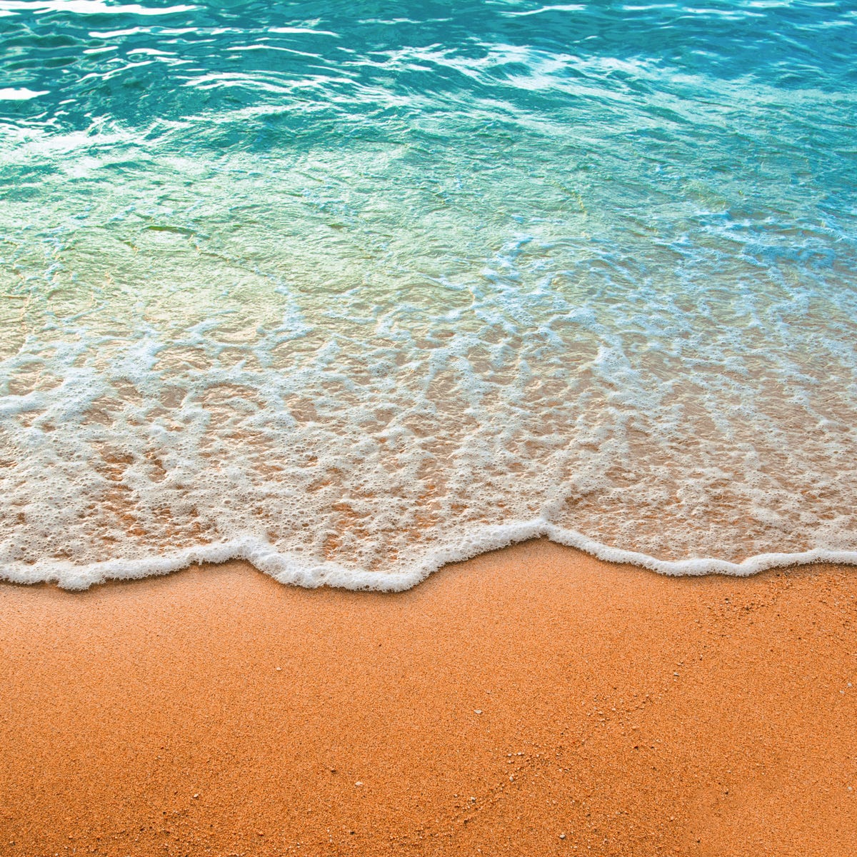 Shoreline Type Fragrance Oil