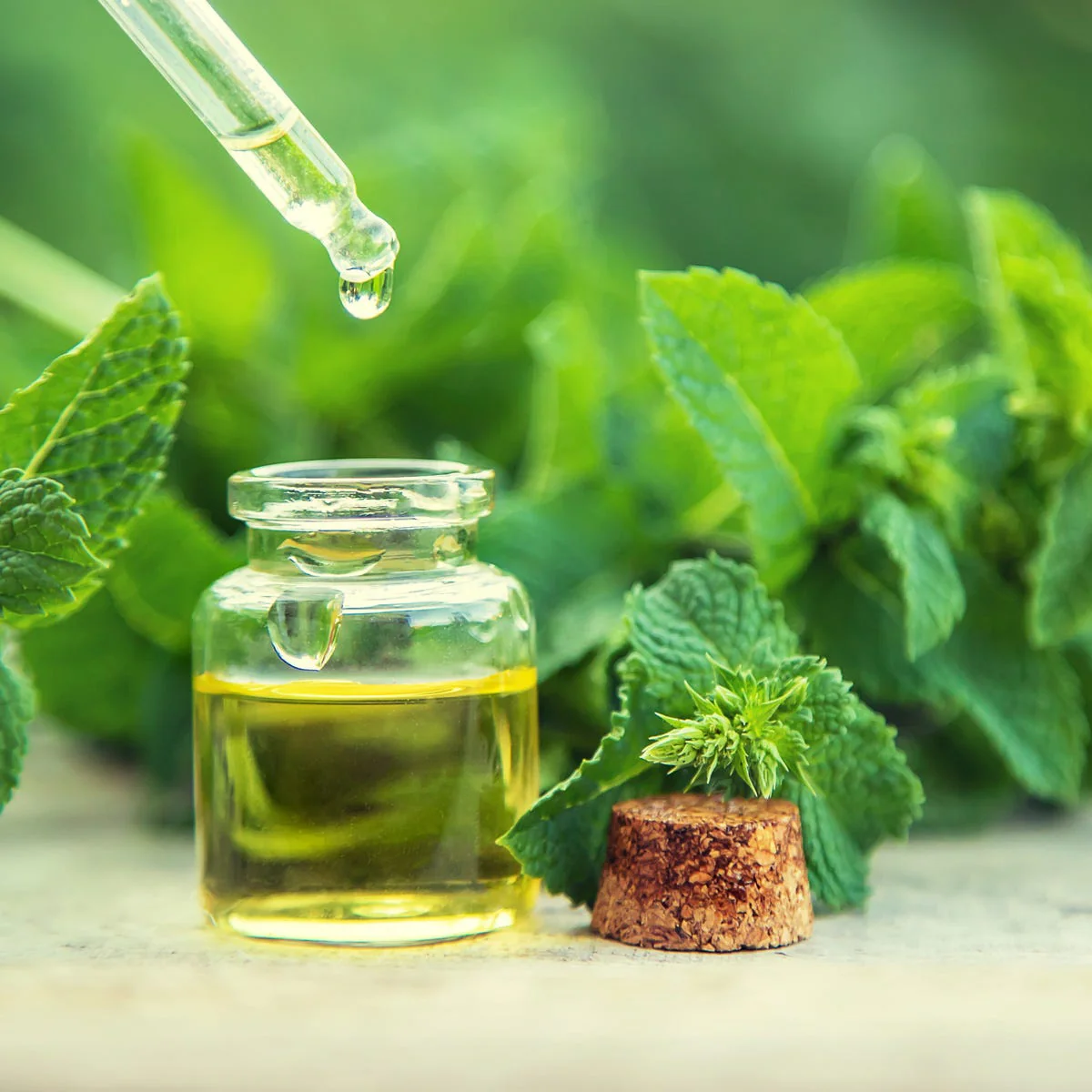 Sinus Relief Fragrance Oil - Image 2