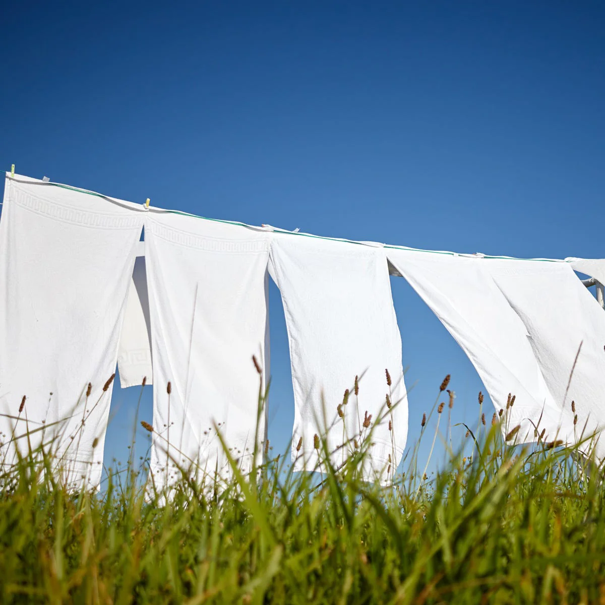 Sun Washed Linen Fragrance Oil - Image 4