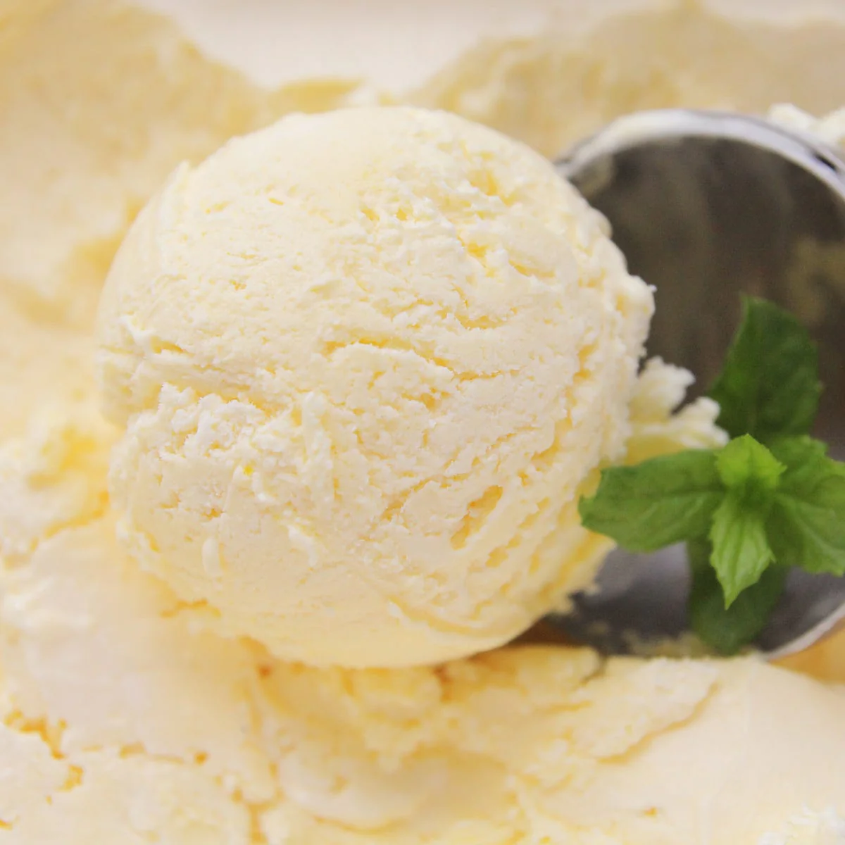 Sweet Vanilla Fragrance Oil - Image 2