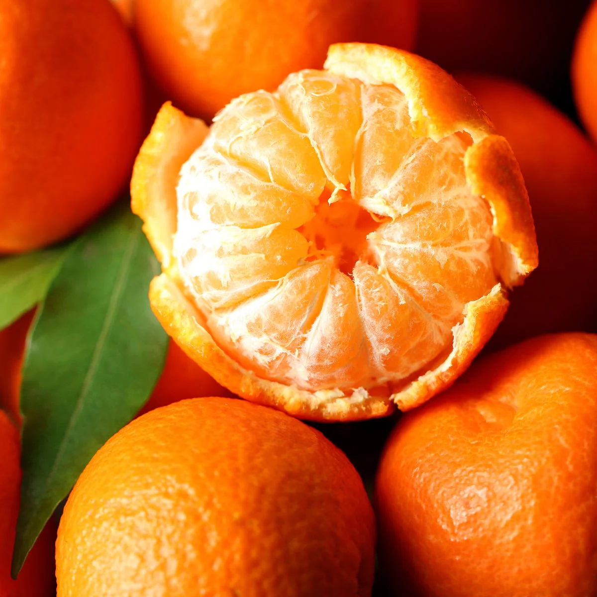 Tropical Tangerine Fragrance Oil - Image 5