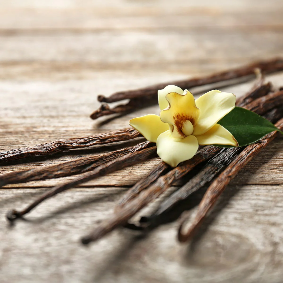 Vanilla Fragrance Oil - Image 5