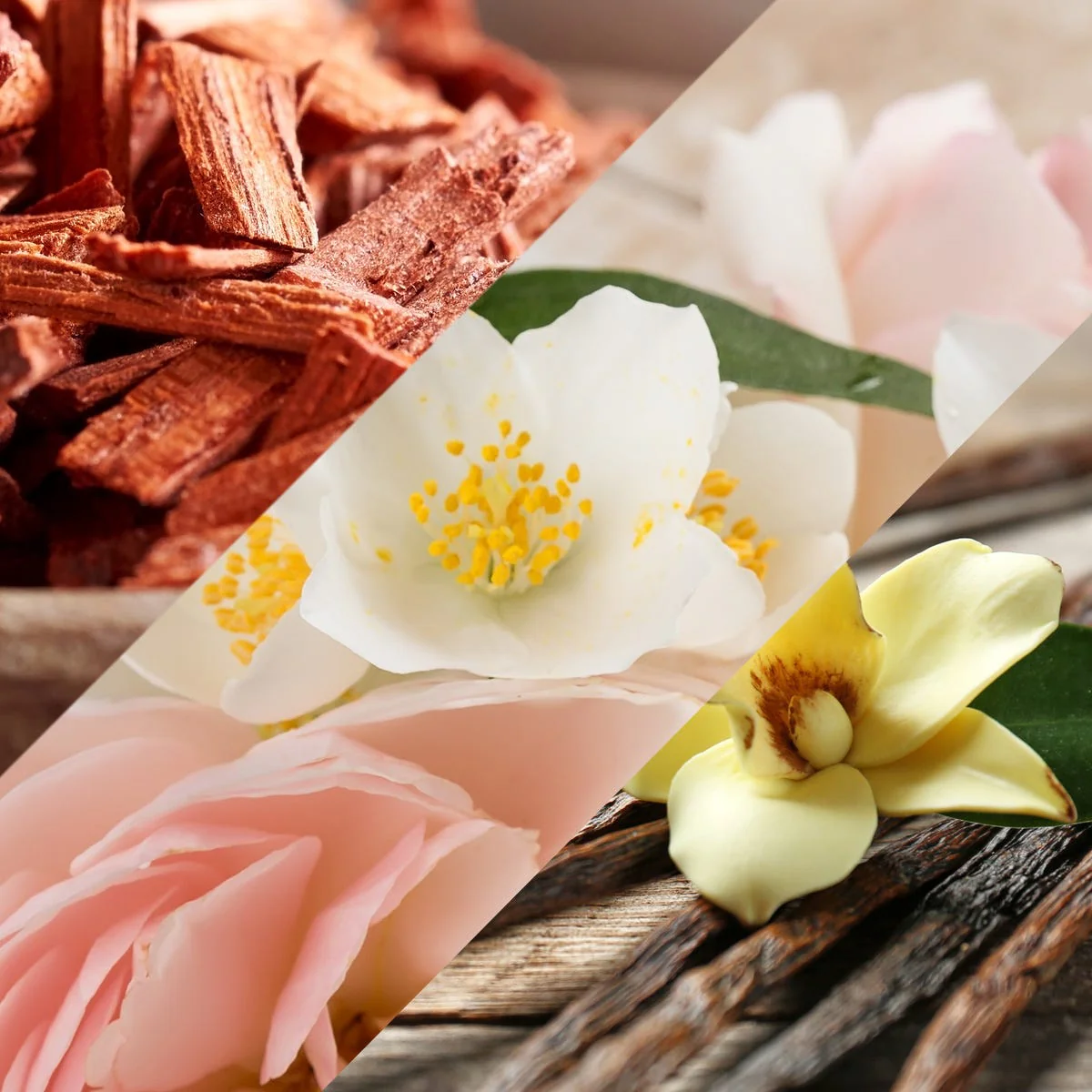 Vanilla Patchouli & Sandalwood Fragrance Oil