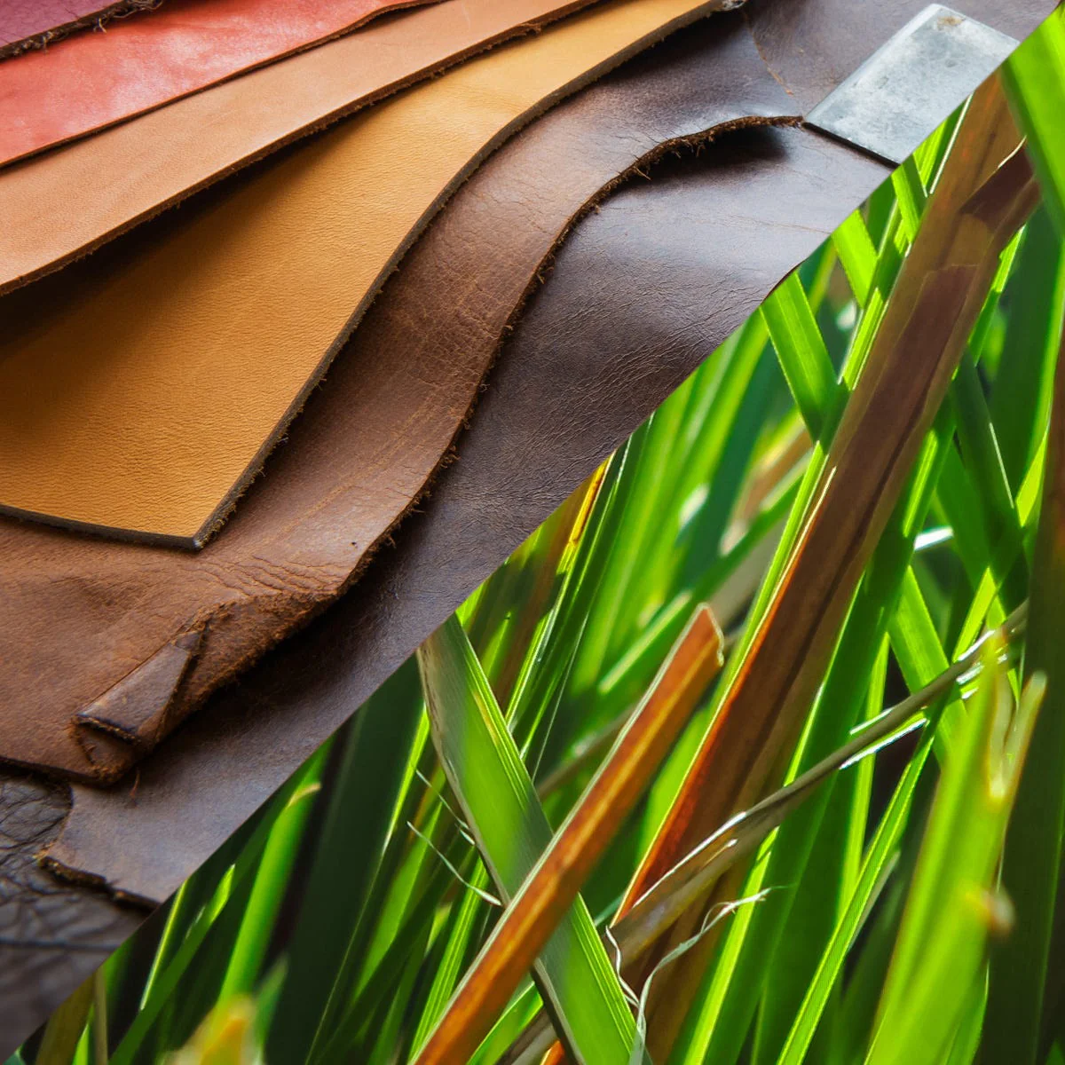 Vetiver Haitian & Leather Fragrance Oil - Image 2