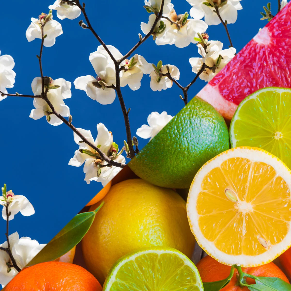 White Magnolia & Citrus Fragrance Oil