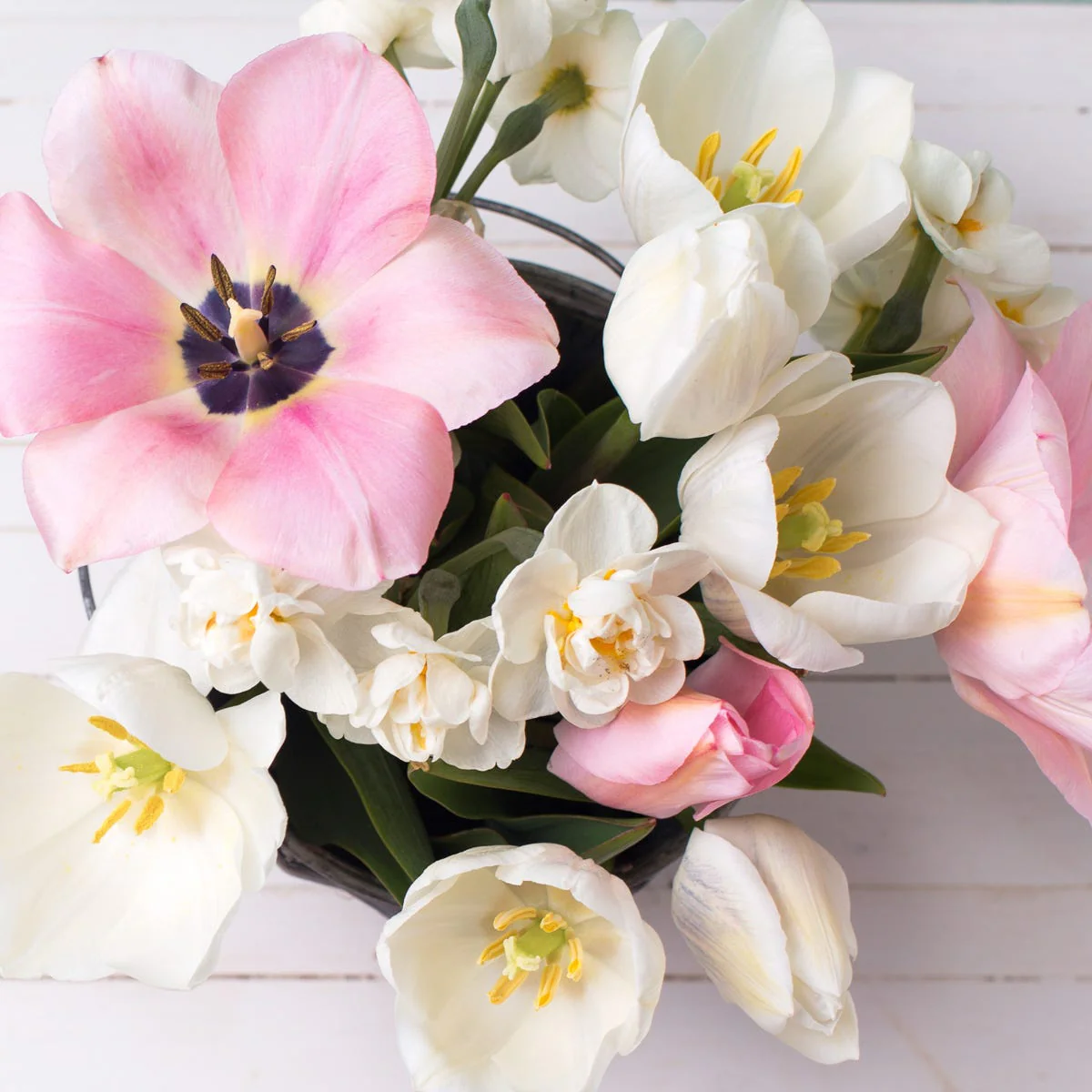 White Narcissus & Musk Fragrance Oil - Image 2