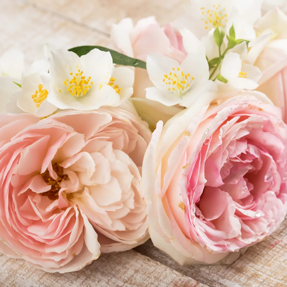 White Patchouli Fragrance Oil - Image 2